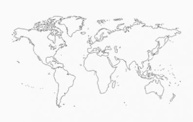 International network / sales force International network / sales force